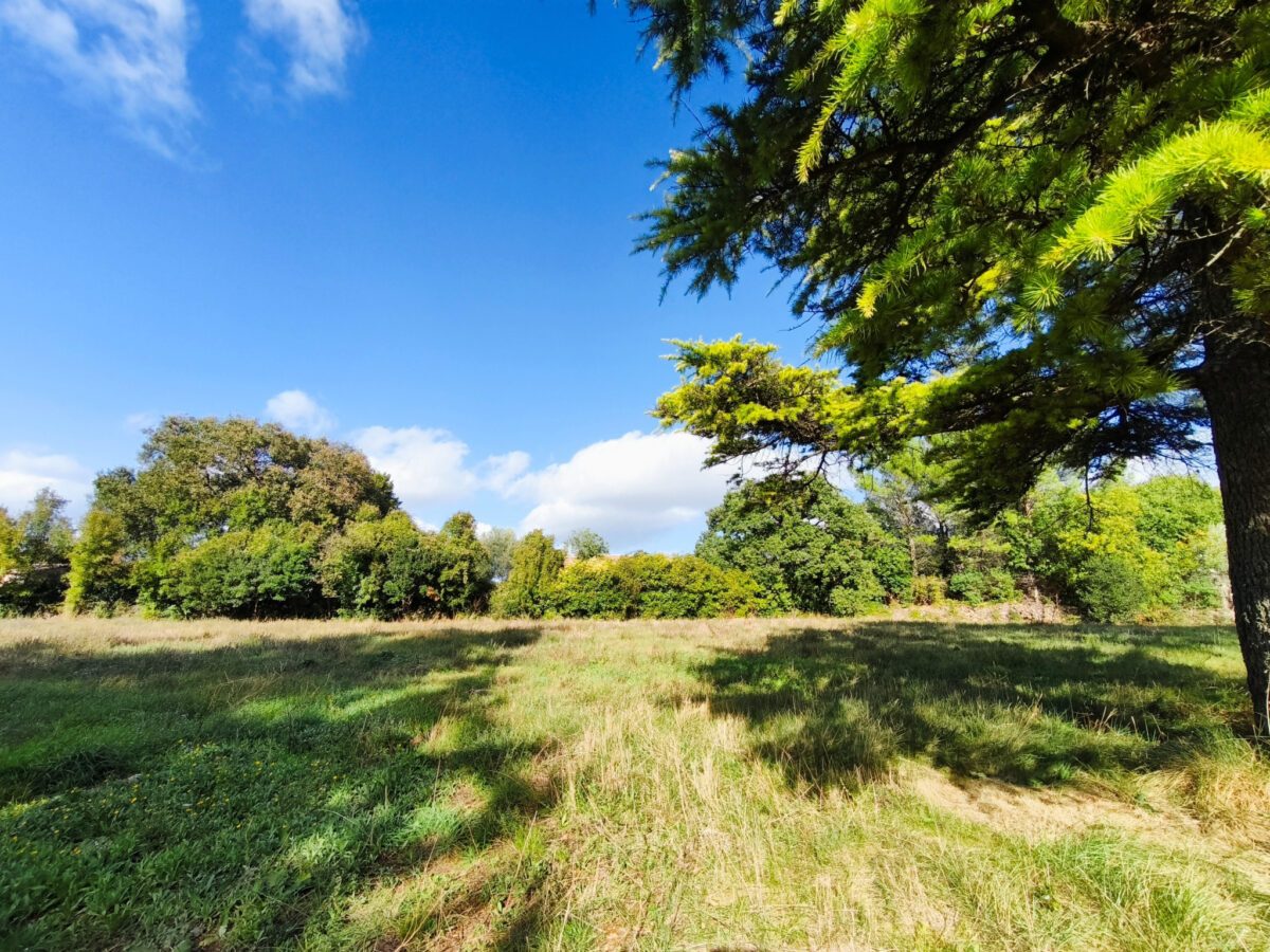 Terrain d’exception — Un écrin de nature constructible au cœur du village