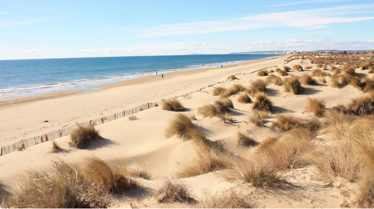 GRAU DU ROI PLAGE T2 DE 45 M2 AVEC TERRASSE DE 8M2