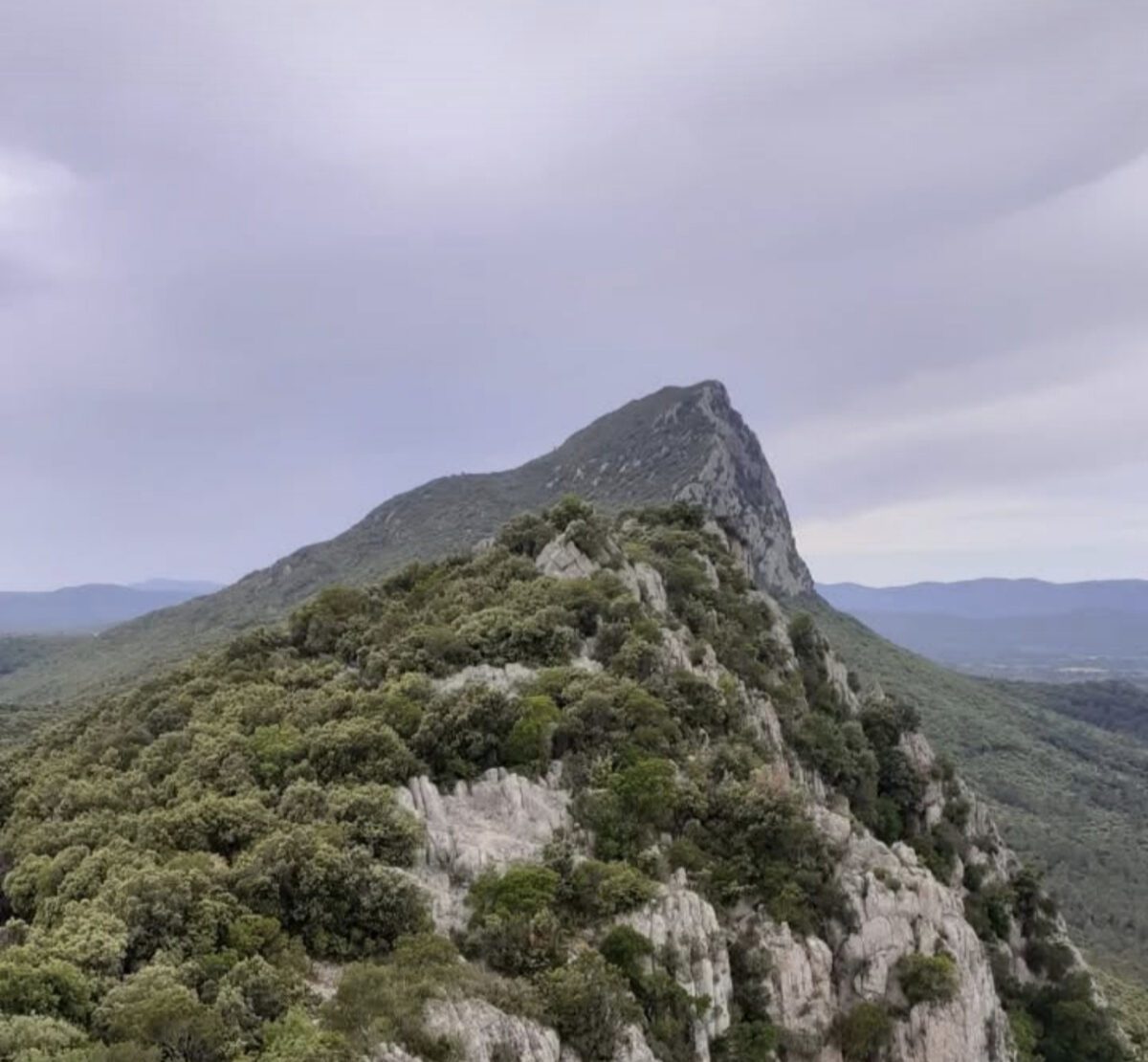 Terrain d’exception — Un écrin de nature constructible au cœur du village