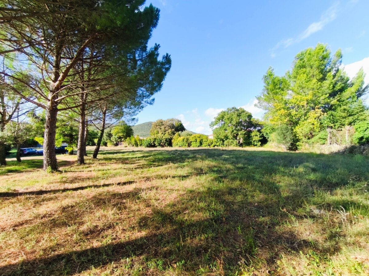 Terrain d’exception — Un écrin de nature constructible au cœur du village