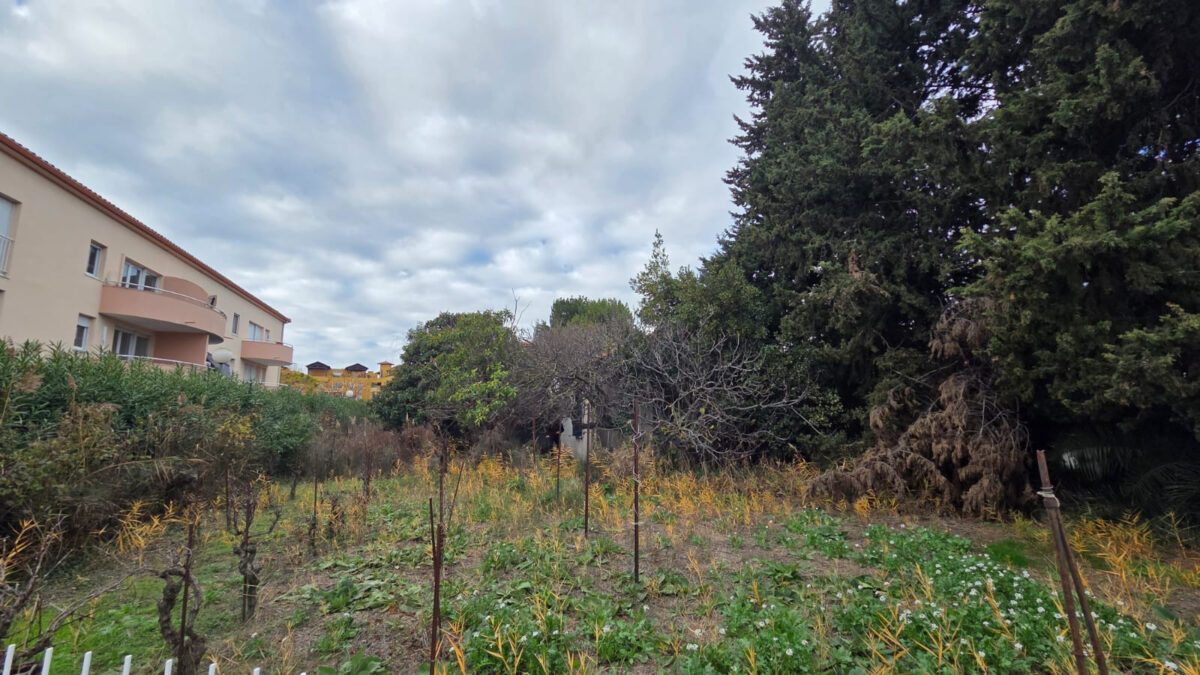 TERRAINS CONSTRUCTIBLE A LATTES CENTRE